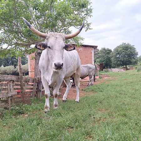 브르토니글라 Ranch Radin B&B 외부 사진